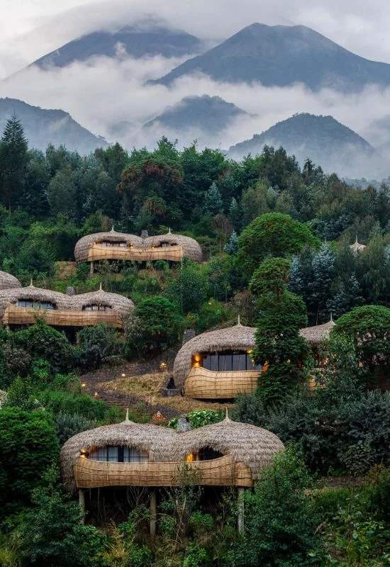 Bisate Lodge